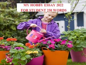 essay my hobby 250 words